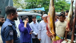 অসুস্থ গরুর মাংস বিক্রির অভিযোগে জরিমানা, জব্দ করা হলো মাংস