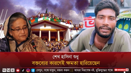শেখ হাসিনা শুধু বক্তব্যের কারণেই ক্ষমতা হারিয়েছেন