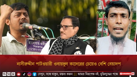 নাসীরুদ্দীন পাটওয়ারী ওবায়দুল কাদেরের চেয়েও বেশি বেয়াদপ !