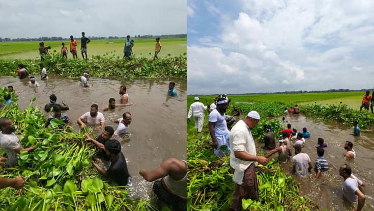 জলাবদ্ধতা নিরসনে পানিতে নেমে খালের কচুরিপানা পরিষ্কার করলেন এমপি