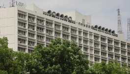 সচিবালয়ে সাপ হত্যা: কী বলছে বন্য প্রাণী সংরক্ষণ আইন