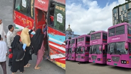 পুরো দেশটাকেই যদি গোলাপি করা যেত
