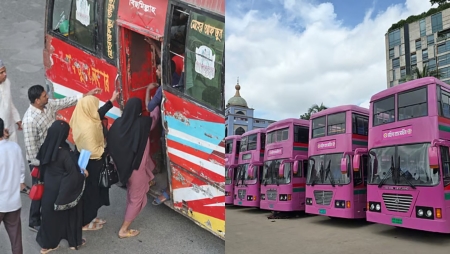 পুরো দেশটাকেই যদি গোলাপি করা যেত