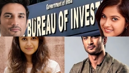 দিশা সালিয়ানের মৃত্যুতে নতুন মোড়, সিবিআইকে তদন্তের নির্দেশ বম্বে হাইকোর্টের