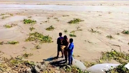 মেঘনার তীরে পাড়ধসে নদীতে নিখোঁজ দুই বন্ধু