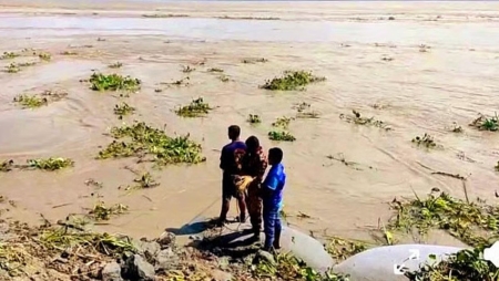 মেঘনার তীরে পাড়ধসে নদীতে নিখোঁজ দুই বন্ধু