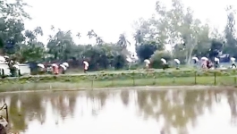  সার ডিলারশিপ পেতে নেতাদের দৌড়ঝাঁপ, মাঠে ব্যাহত হচ্ছে বিতরণ