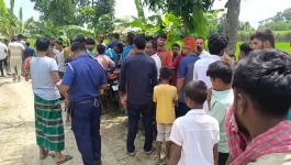 কার্টন থেকে দুর্গন্ধ, খুলতেই মিলল ৬ টুকরা মরদেহ