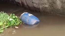 অন্তরঙ্গ ভিডিও করে ব্ল্যাকমেলের অভিযোগে নিরঞ্জন হত্যা: পিবিআই