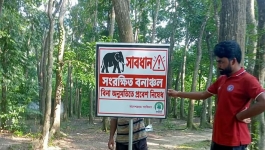ট্র্যাকিংয়ে গিয়ে পথ হারাচ্ছেন পর্যটকেরা, কাপ্তাইয়ের সীতাপাহাড়ে প্রবেশে নিষেধাজ্ঞা