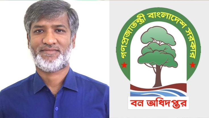 ঢাকা বন বিভাগে বনভূমি দখল ও গাছ কাটার অভিযোগ, তদন্তের দাবি
