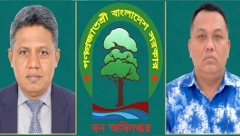 রাঙামাটি বন বিভাগে বদলি ও ঘুষ বাণিজ্যের অভিযোগ, তদন্তের দাবি